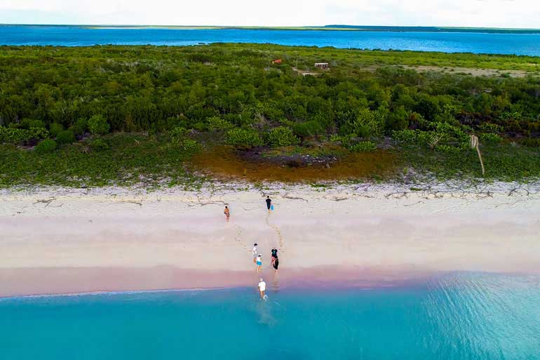 barbuda plage vierge de pink sandy beach list 1