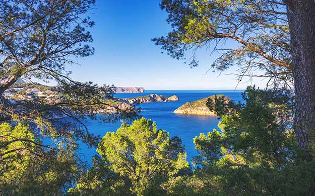 5 provence le cap negre en croisiere