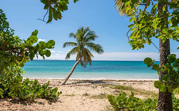 8 grenadines fin de la croisiere a ste anne martinique