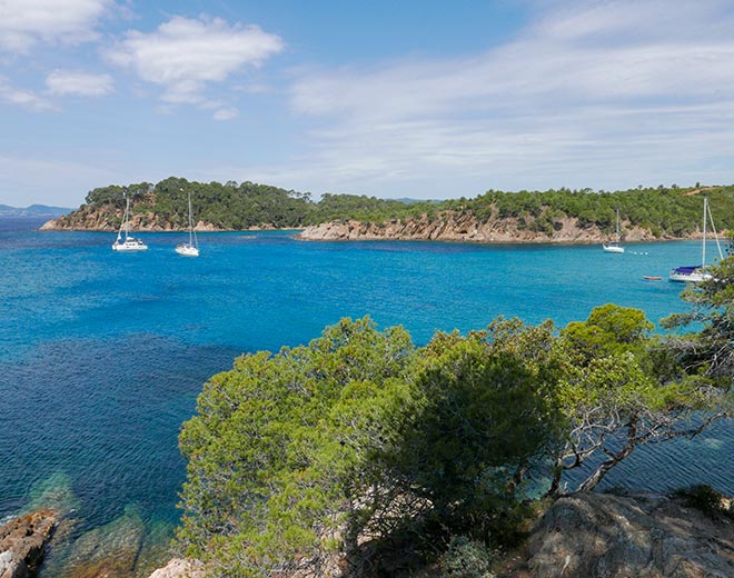 provence ile de porquerolle 