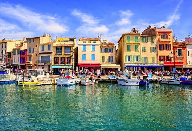 A goat starring at the back of a pick up truck