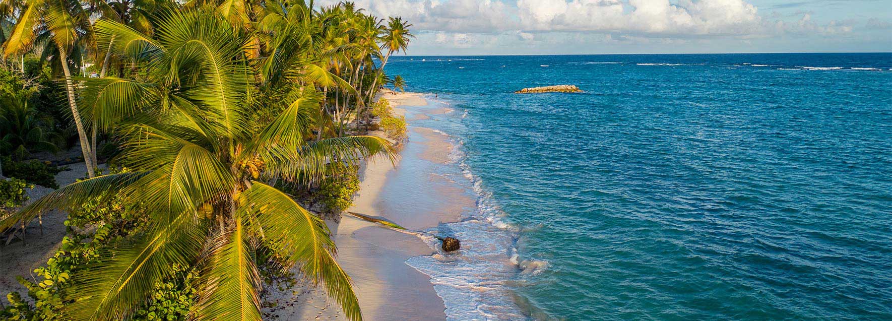 2 guadeloupe plage de marie galante g 14