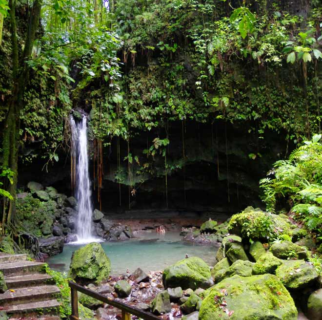 a guadeloupe dominique excursion rivere et cascade fixe