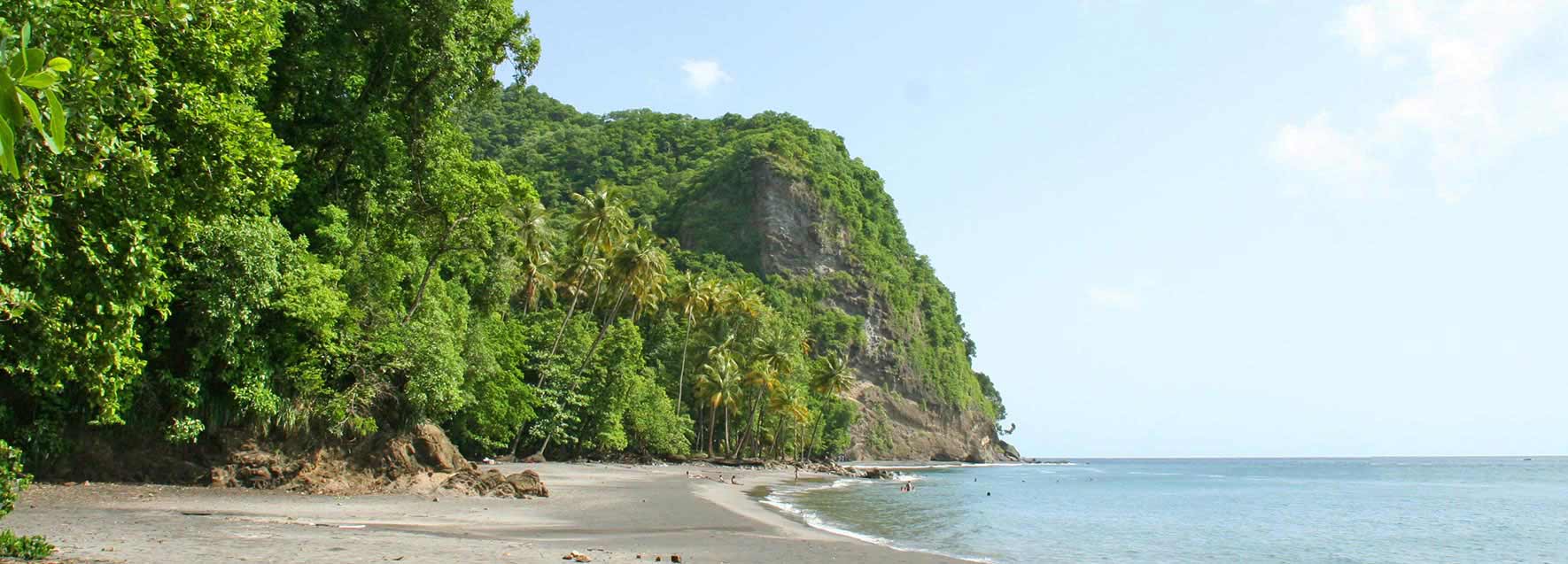 martinique anse couleuvre g 8 