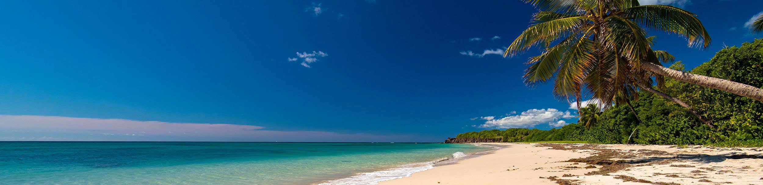 principale martinique plage des salines banner