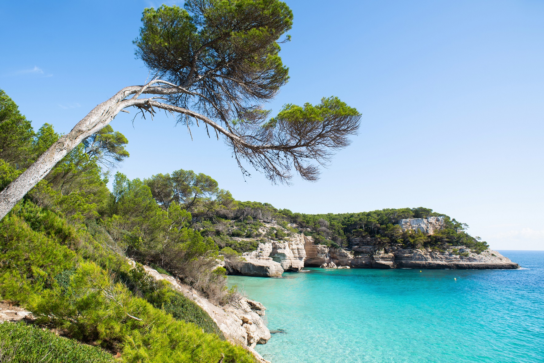 corse les iles lavezzi