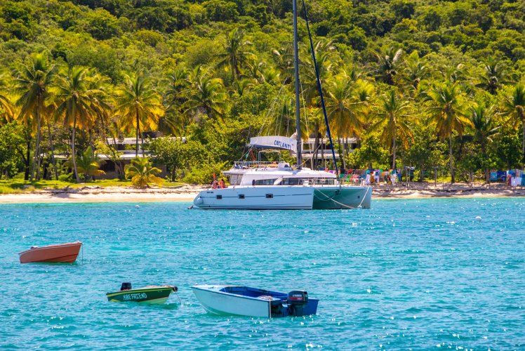 Catamaran au mouillage devant une plage bordée de cocotiers aux Grenadines