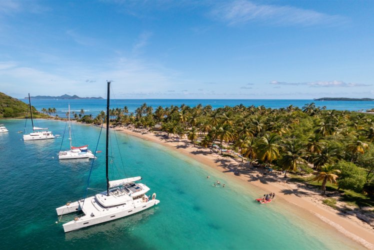 Catamaran au mouillage le long d'une plage bordée de cocotiers aux Grenadines