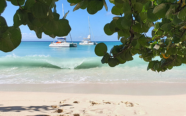 Jour1 GUADELOUPE PLAGE  CATA 1646987523
