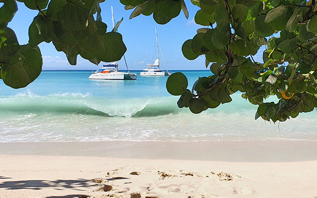 jour 7 GUADELOUPE PLAGE  CATA 1646987523